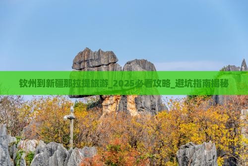 钦州到新疆那拉提旅游