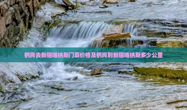 鹤岗去新疆喀纳斯门票