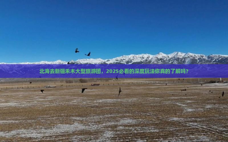 北海去新疆禾木大型旅游团