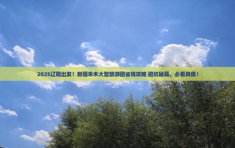辽阳到新疆禾木大型旅游团