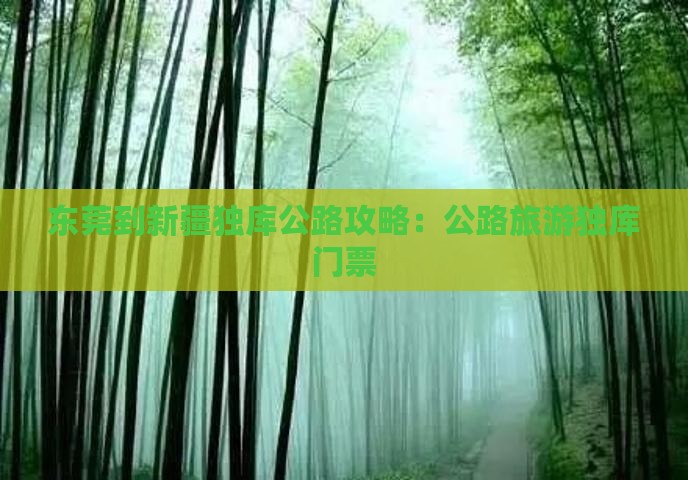 东莞到新疆独库公路门票