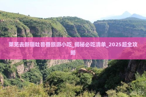 莱芜去新疆吐鲁番旅游小吃