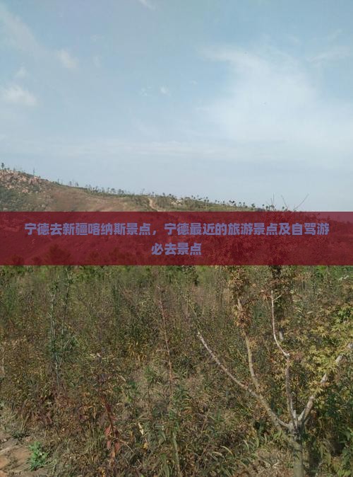 宁德去新疆喀纳斯景点