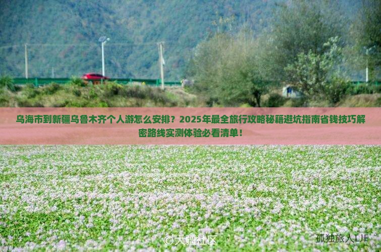 乌海市到新疆乌鲁木齐个人游