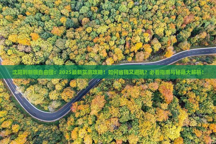 沈阳到新疆自由团