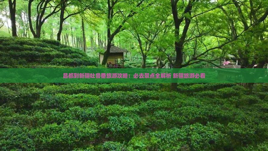 昌都到新疆吐鲁番自由行