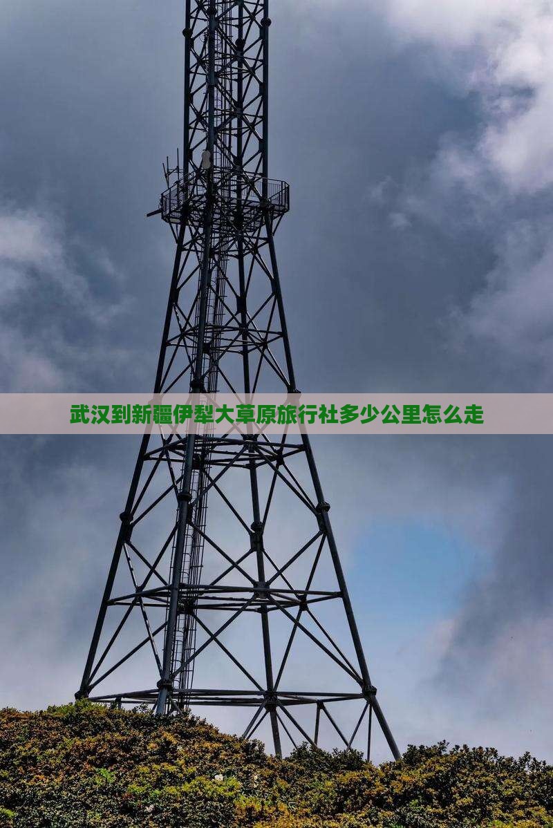 武汉到新疆伊犁大草原旅行社