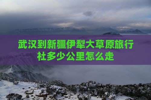 武汉到新疆伊犁大草原旅行社