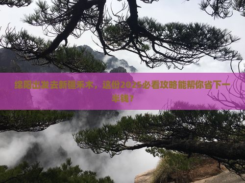 绵阳去新疆禾木门票