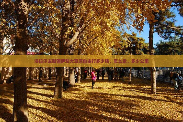 海拉尔去新疆伊犁大草原自由行