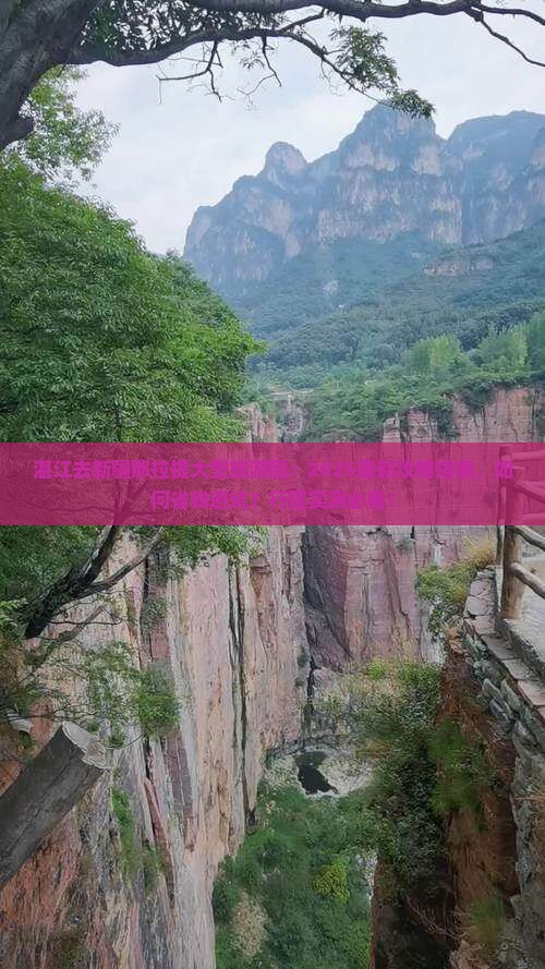 湛江去新疆那拉提大型旅游团