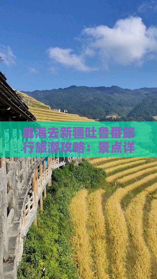 威海去新疆吐鲁番旅行社