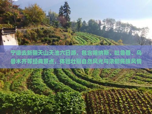 宁德去新疆天山天池六日游