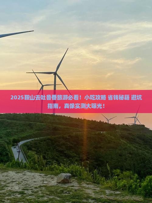 鞍山去新疆吐鲁番旅游小吃