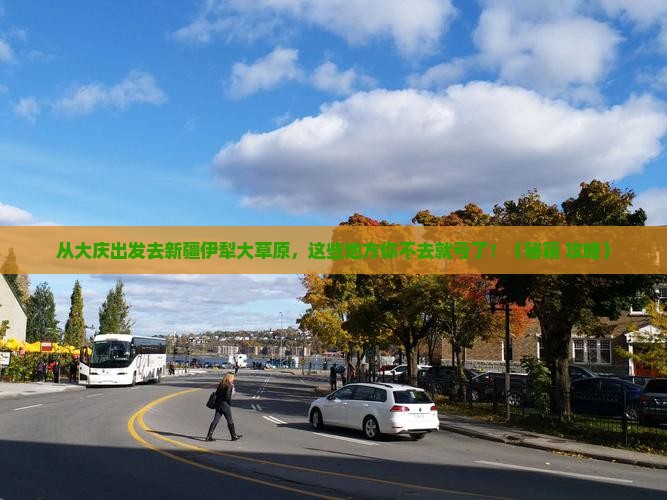 大庆去新疆伊犁大草原必去地