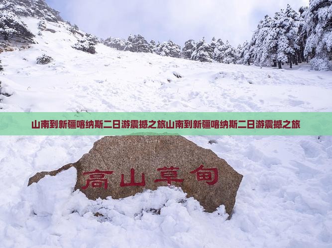 山南到新疆喀纳斯二日游