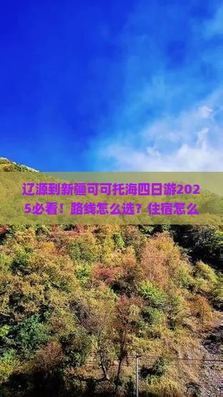 辽源到新疆可可托海四日游
