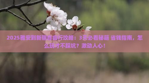 雅安到新疆自由行