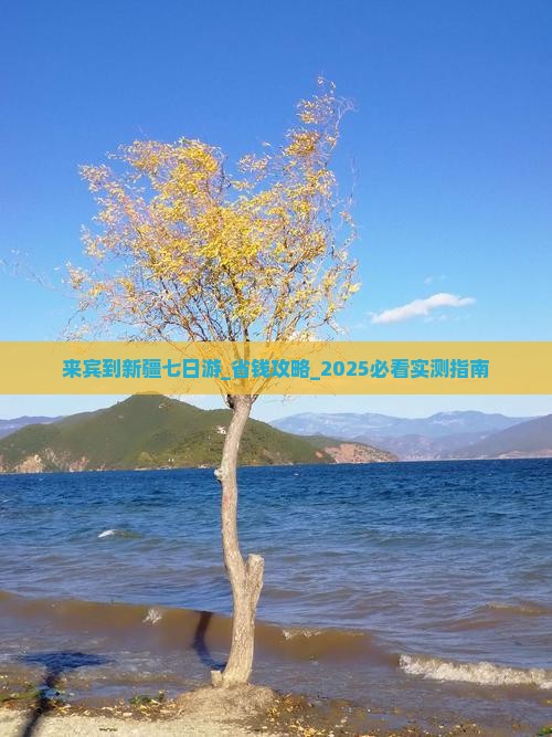 来宾到新疆七日游
