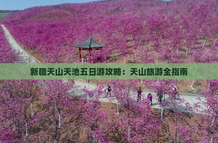 巴音郭楞到新疆天山天池五日游