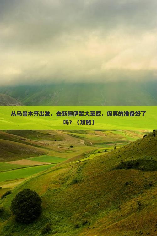 乌鲁木齐去新疆伊犁大草原景点