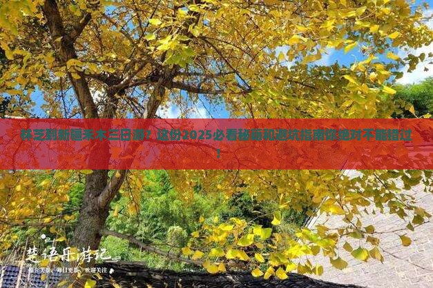 林芝到新疆禾木三日游 林芝到新疆禾木三日游