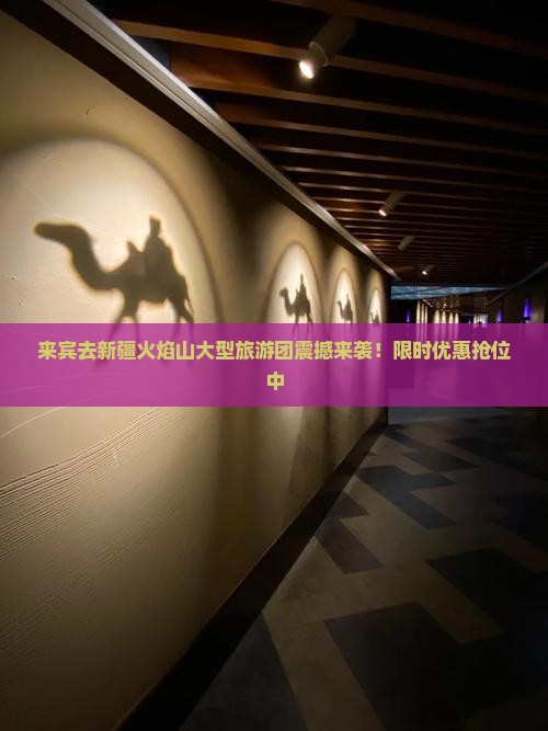 来宾去新疆火焰山大型旅游团
