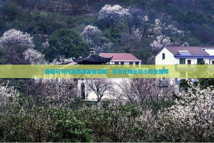 莆田去新疆可可托海旅游小吃