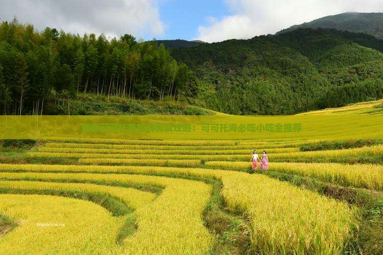 莆田去新疆可可托海旅游小吃