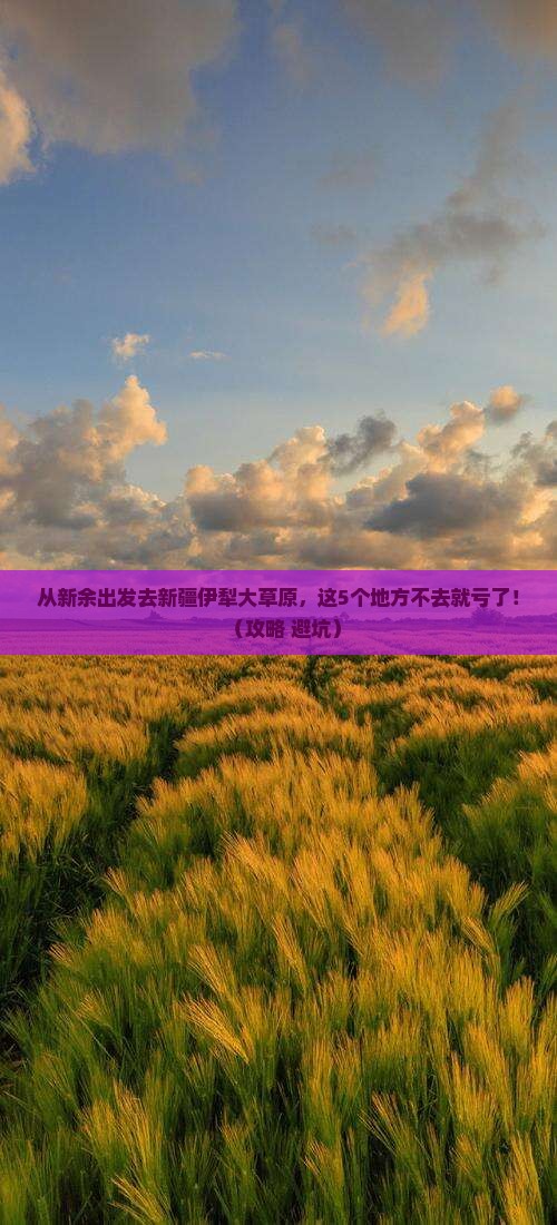 新余去新疆伊犁大草原必去地