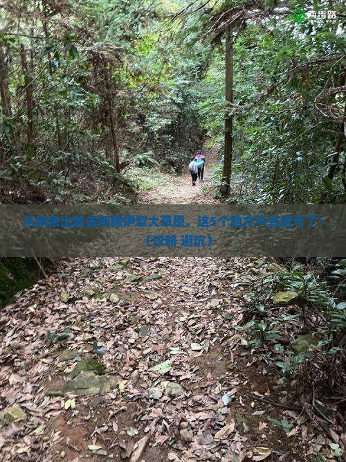 新余去新疆伊犁大草原必去地