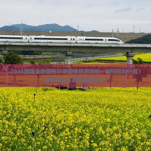 醴陵去新疆布尔津团体旅游