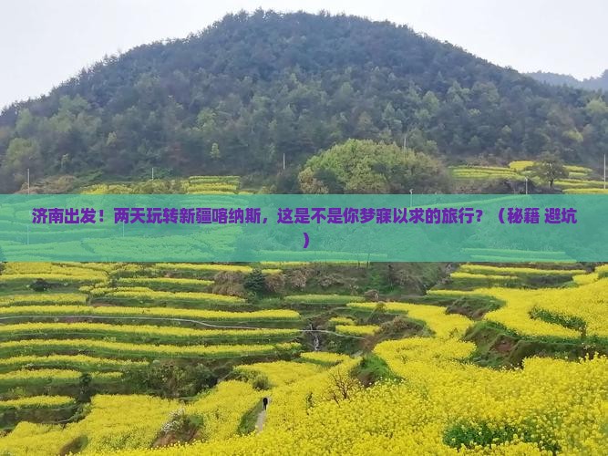 济南到新疆喀纳斯二日游