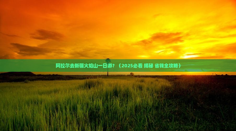 阿拉尔去新疆火焰山一日