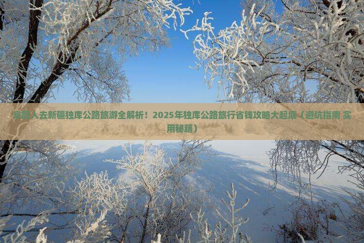 阜阳去新疆独库公路旅行社