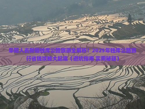 阜阳去新疆独库公路旅行社
