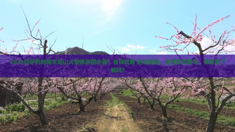 拉萨到新疆火焰山大型旅游团