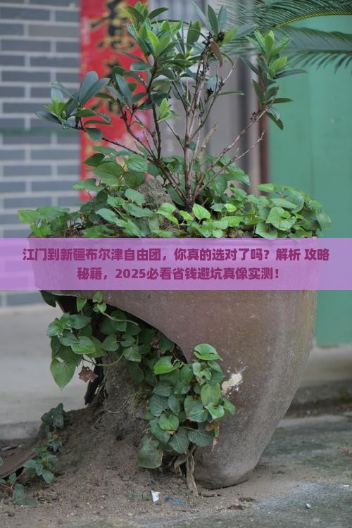 江门到新疆布尔津自由团