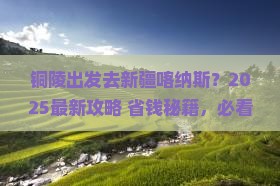 铜陵去新疆喀纳斯景点