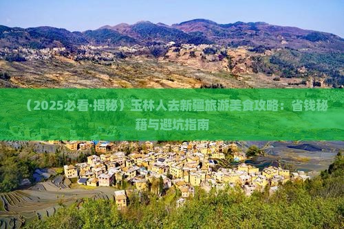 玉林到新疆旅游小吃