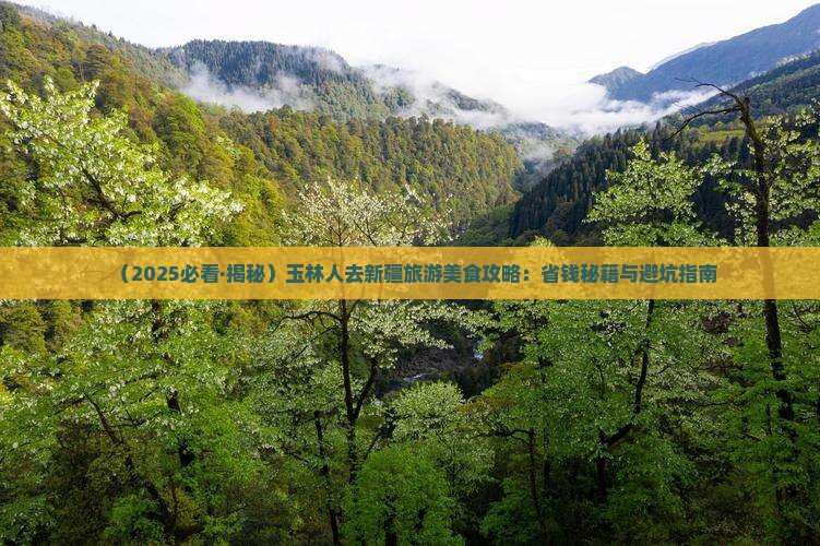 玉林到新疆旅游小吃