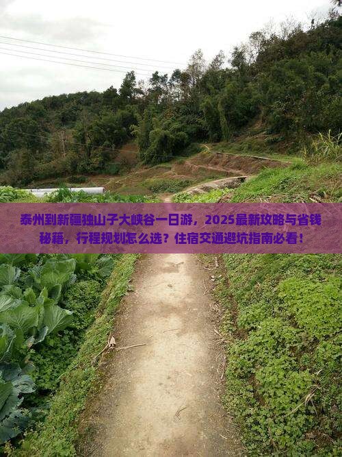 泰州到新疆独山子大峡谷一日