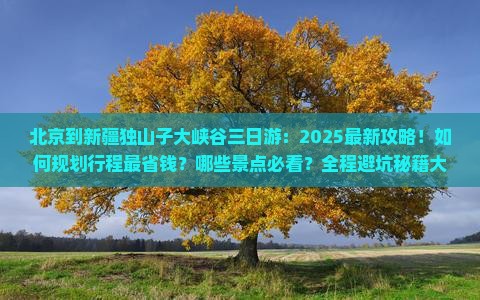 北京到新疆独山子大峡谷三日游