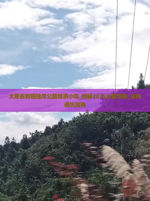 太原去新疆独库公路旅游小吃