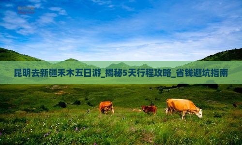 昆明去新疆禾木五日游