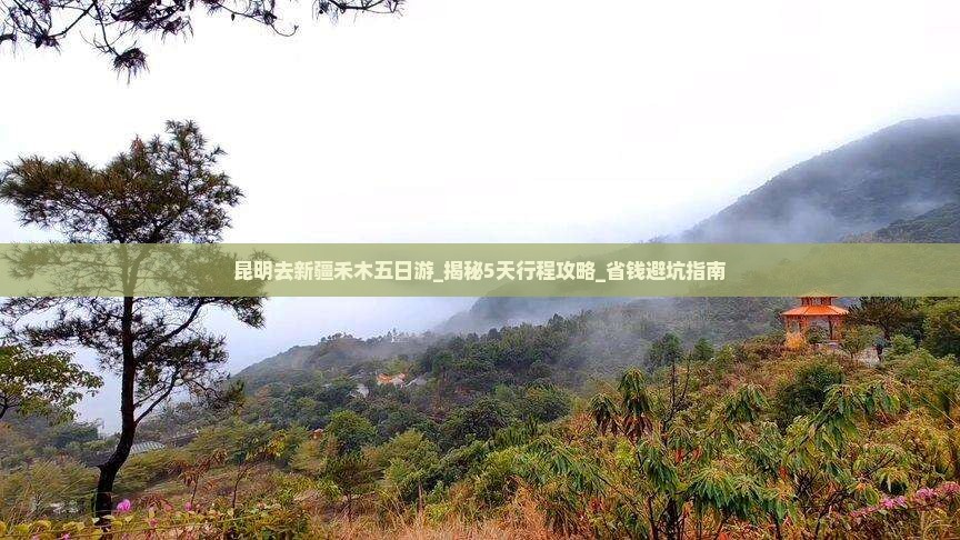 昆明去新疆禾木五日游