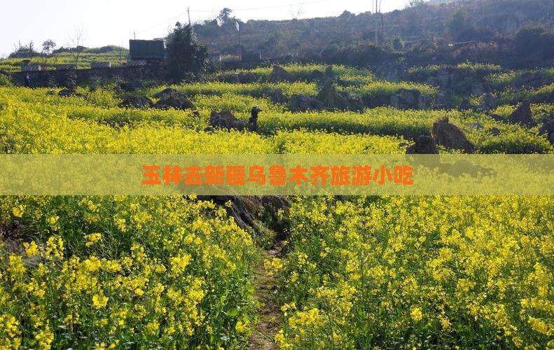 玉林去新疆乌鲁木齐旅游小吃
