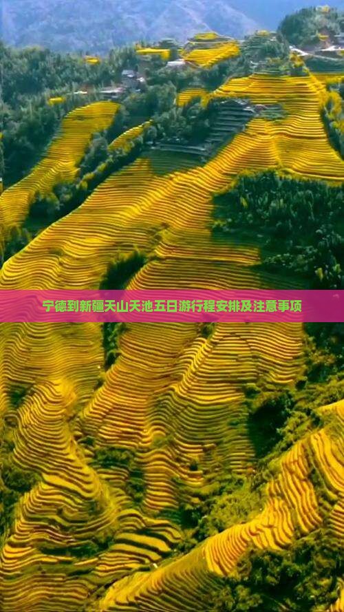 宁德到新疆天山天池五日游
