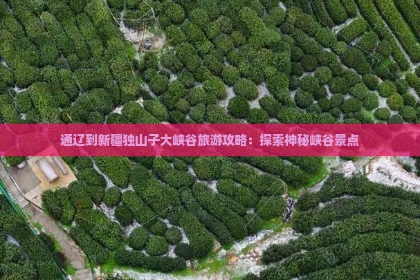 通辽到新疆独山子大峡谷自由行