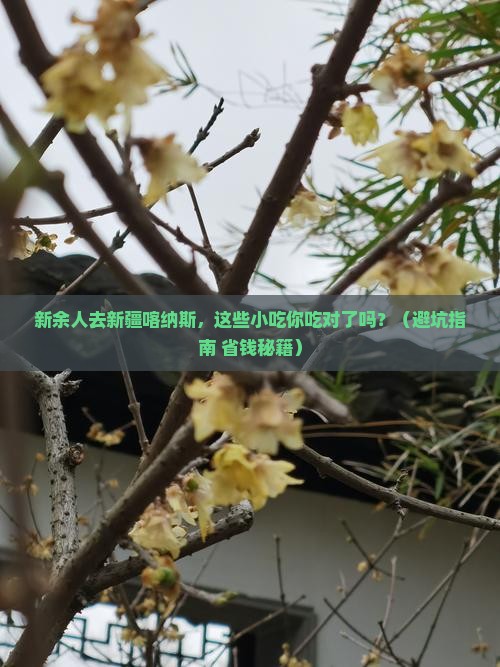 新余去新疆喀纳斯旅游小吃